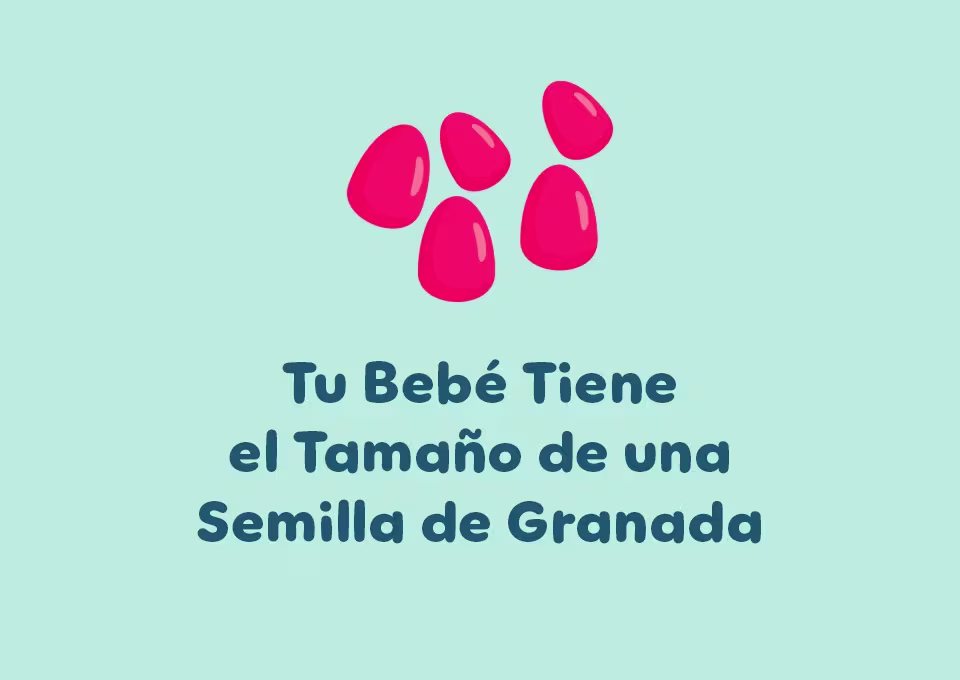 6 semanas de embarazo