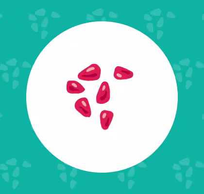 Pomegranate seed icon