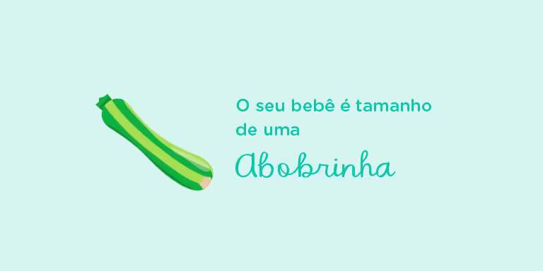 Your baby is the size of a zucchini