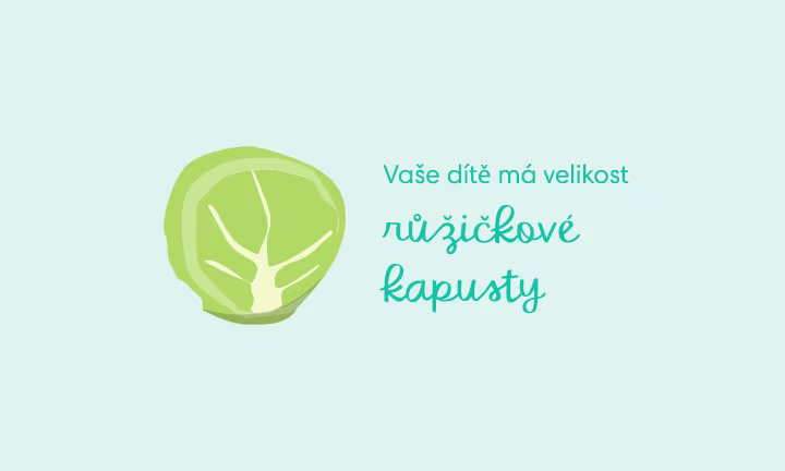 pregnancy-week-by-week-week-11