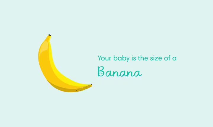 Pregnancy size comparison showing baby growth at 21 weeks as the size of a banana.
