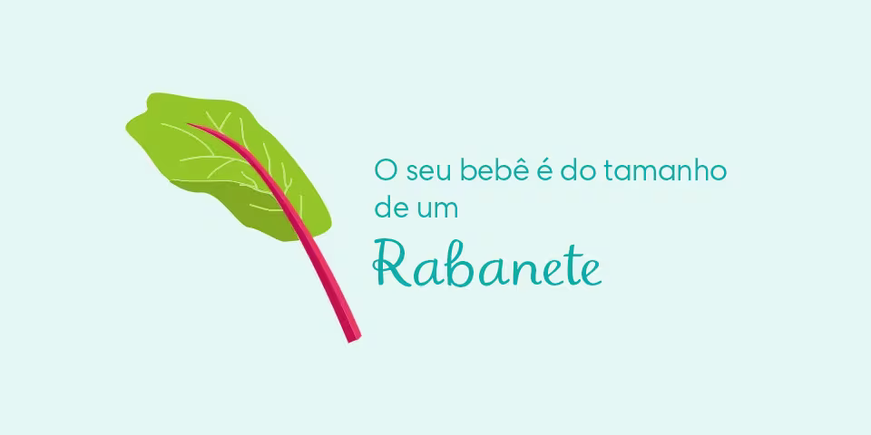 Your baby is the size of rhubarb
