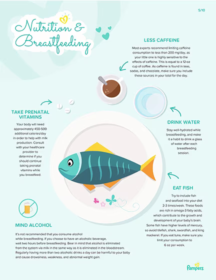 Ernährung und Stillen.