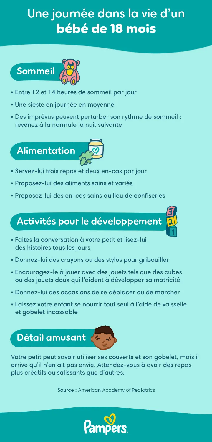 Programme et jalons à 18 mois Programme et jalons à 18 mois