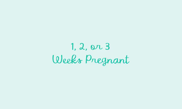 1, 2, and 3 Weeks Pregnant 1, 2, and 3 Weeks Pregnant