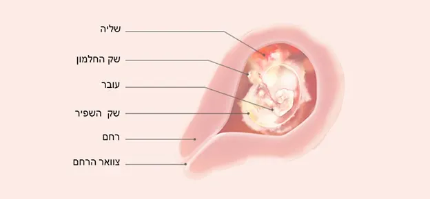 Article Content Image week5 5