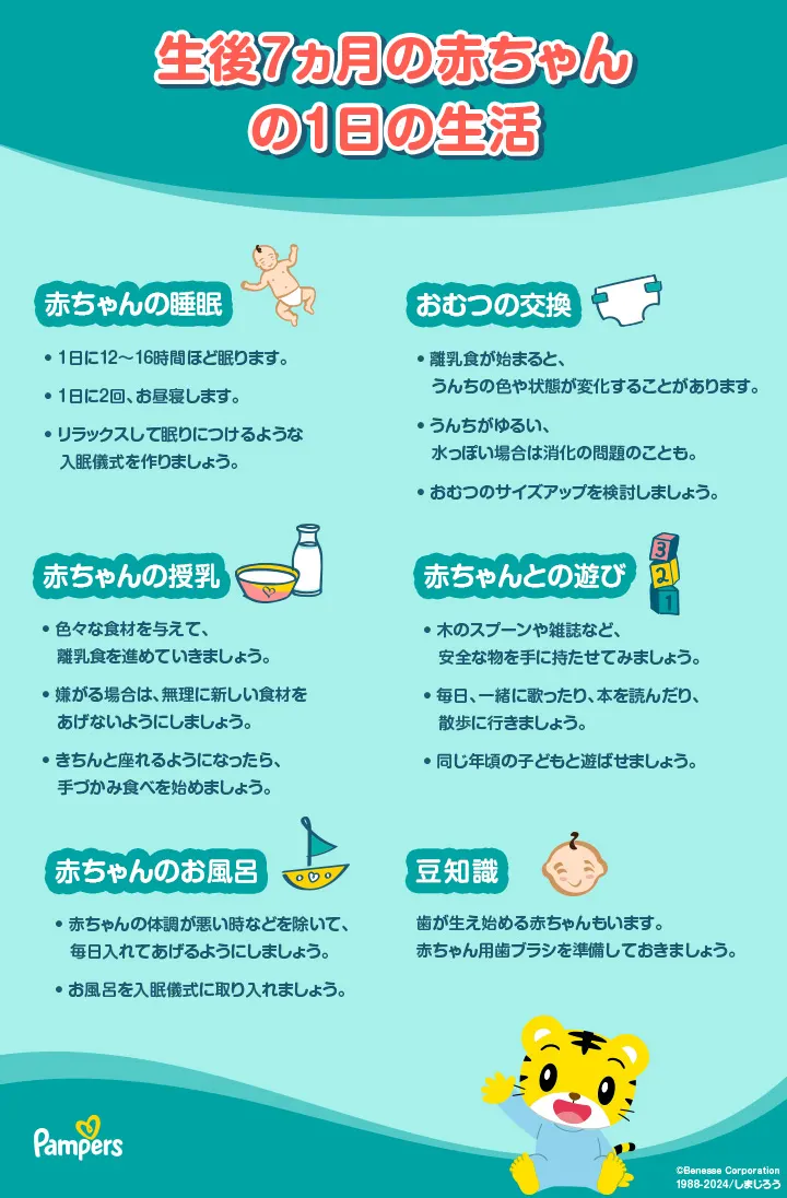 生後 7 ヶ月 スケジュール
