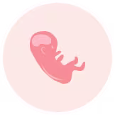 7 month pregnant