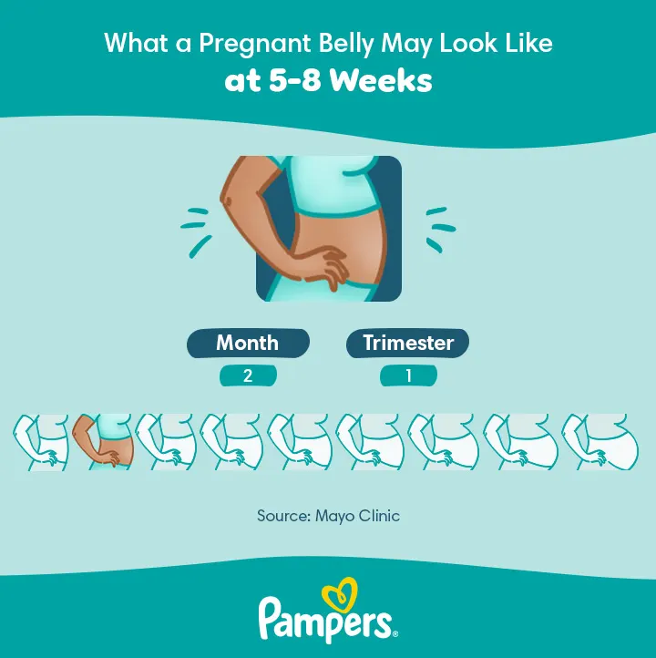 8 weeks pregnant belly 8 weeks pregnant belly