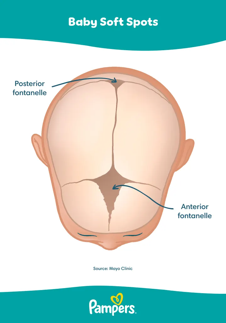 US P Soft spot 720px