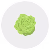Icon-week28-162x162