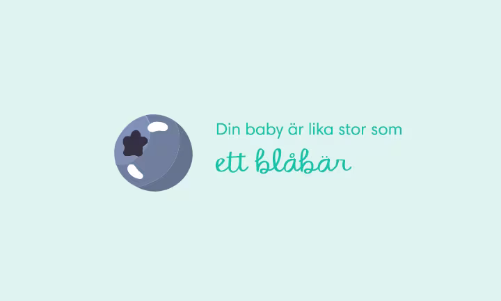 Week 07 pregnancy