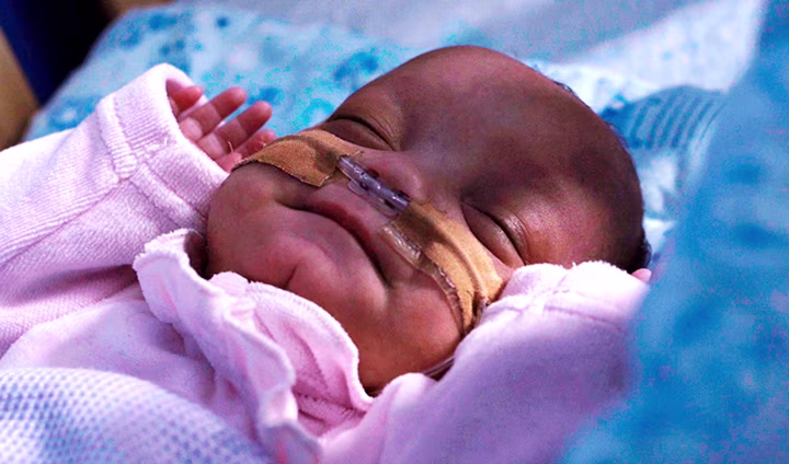 Ser grande no es cuestión de tamaño, Dodot