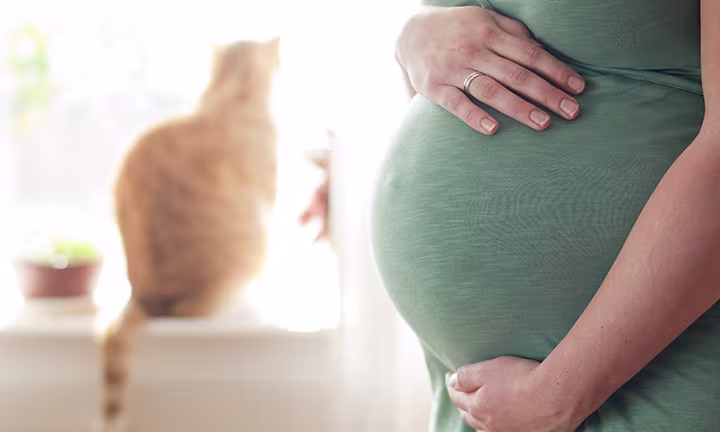 Toxoplasmosis in pregnancy