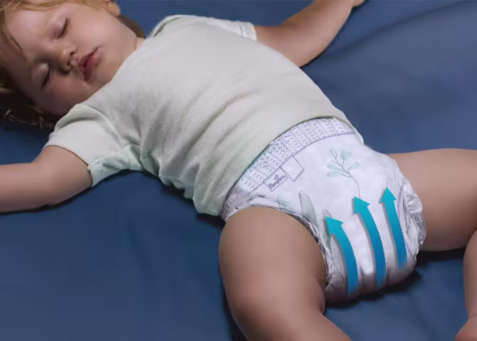 Canales extra absorbentes