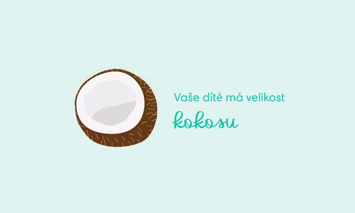 pregnancy-week-by-week-week-31