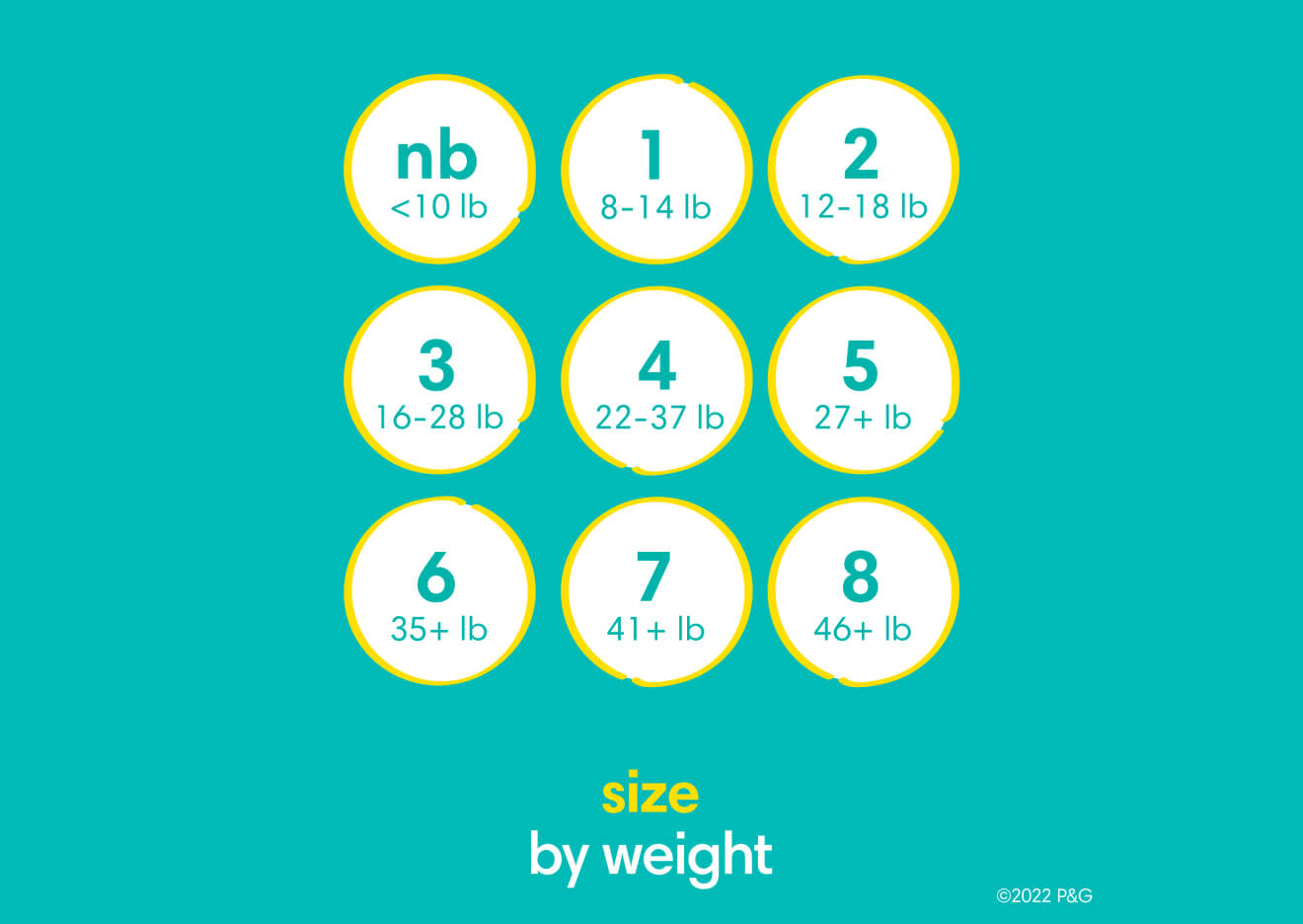 Image is showcasing all the different sizes available with Swaddlers from New born to size 8.