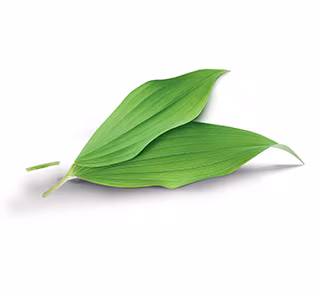 Дитячі вологі серветки Pampers® Pure Protection Кокос