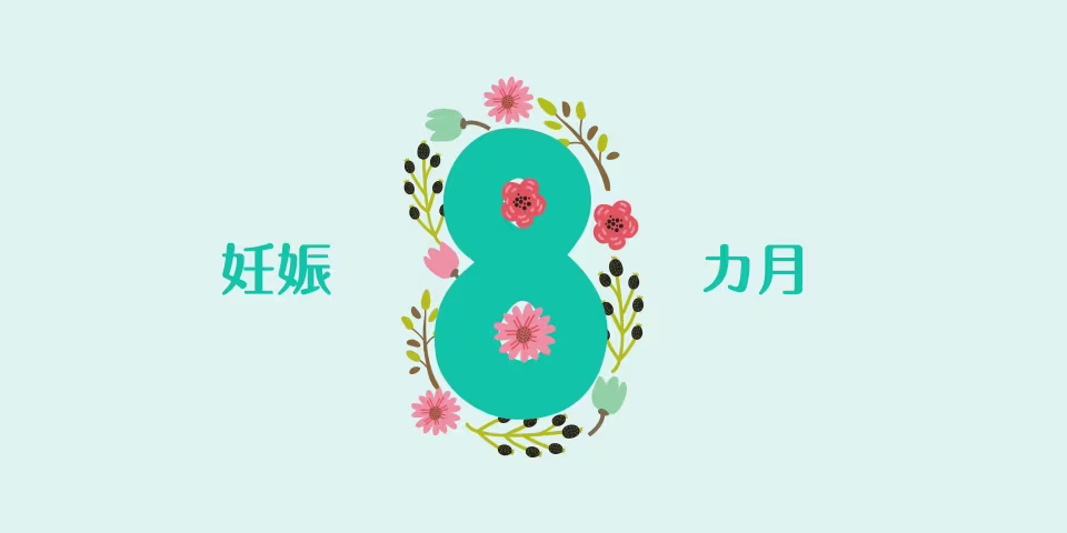 妊娠 八 ヶ月