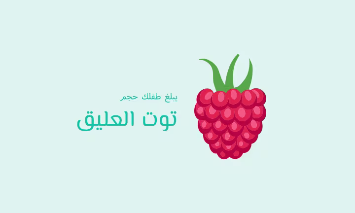 يبلغ طفلك حجم توت العليق