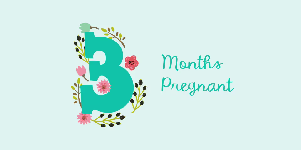3 months pregnant illustration