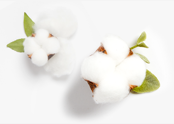 Pampers® Pure Protection