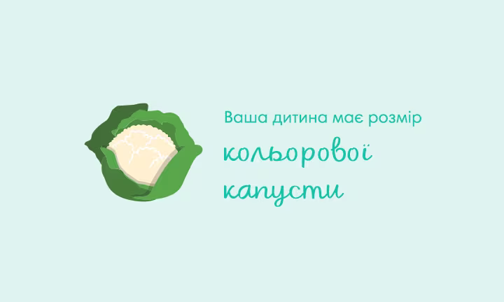 pregnancy-week-by-week-week-27