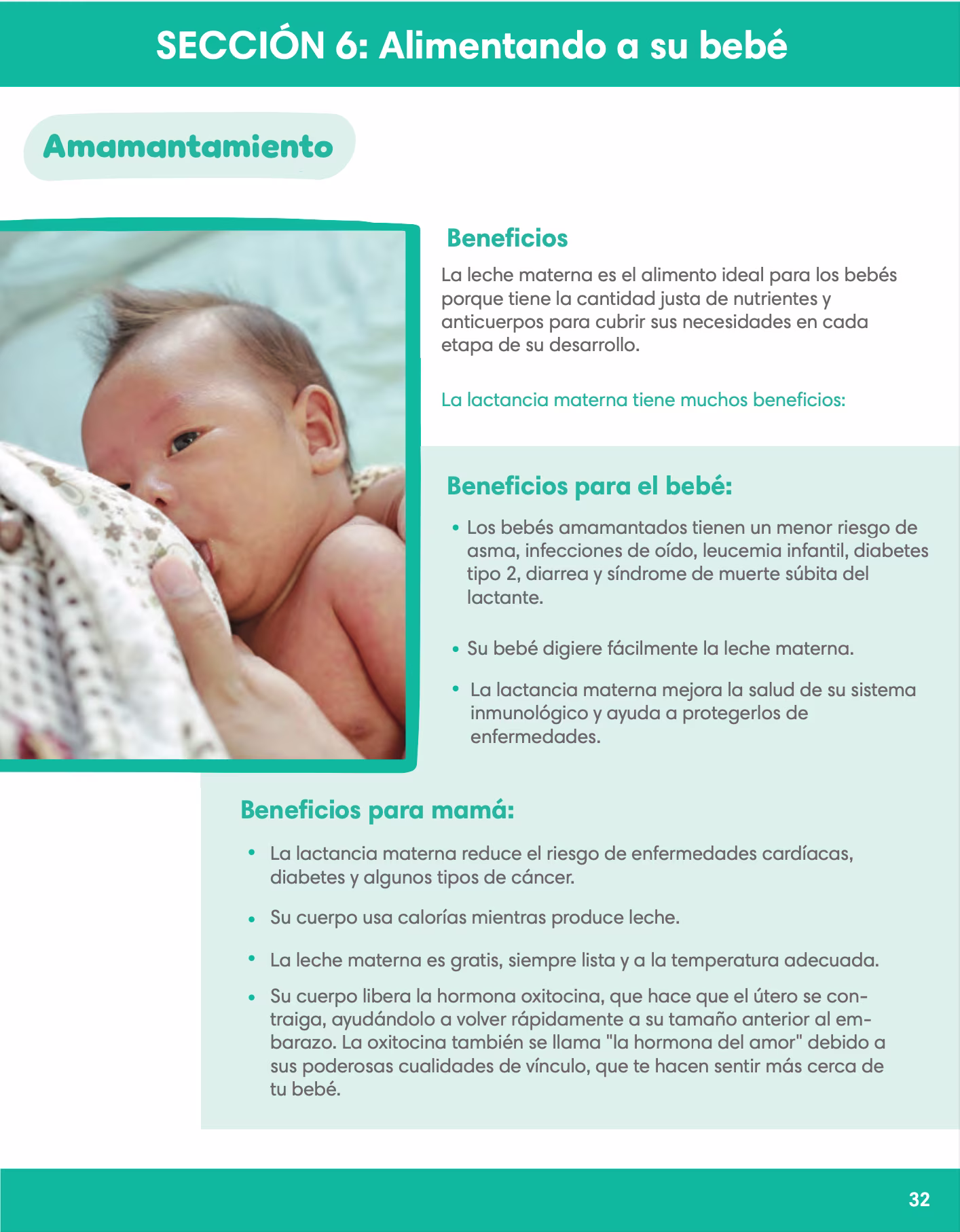 Alimentando a su bebé