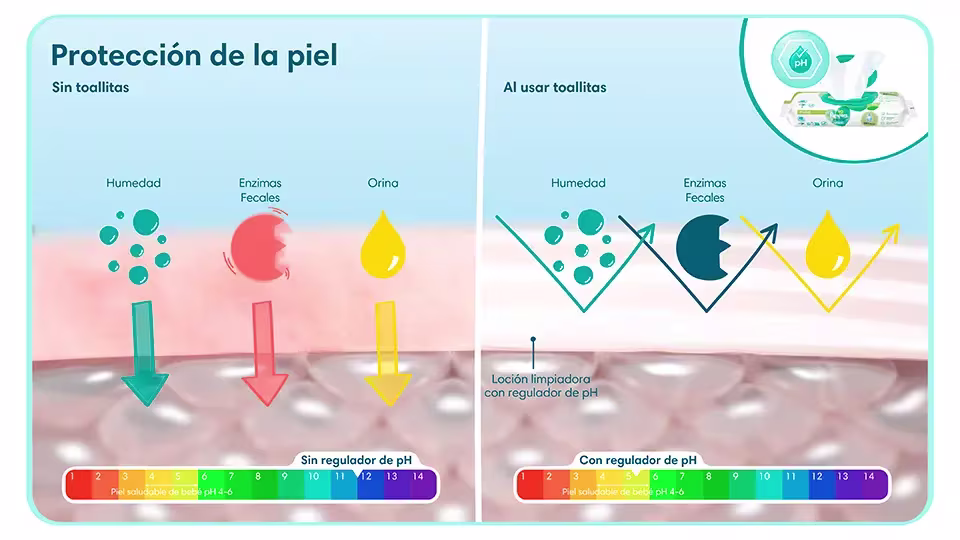 Ventajas y desventajas de usar o no toallitas húmedas para la protección de la piel de un bebé | Pampers® LATAM