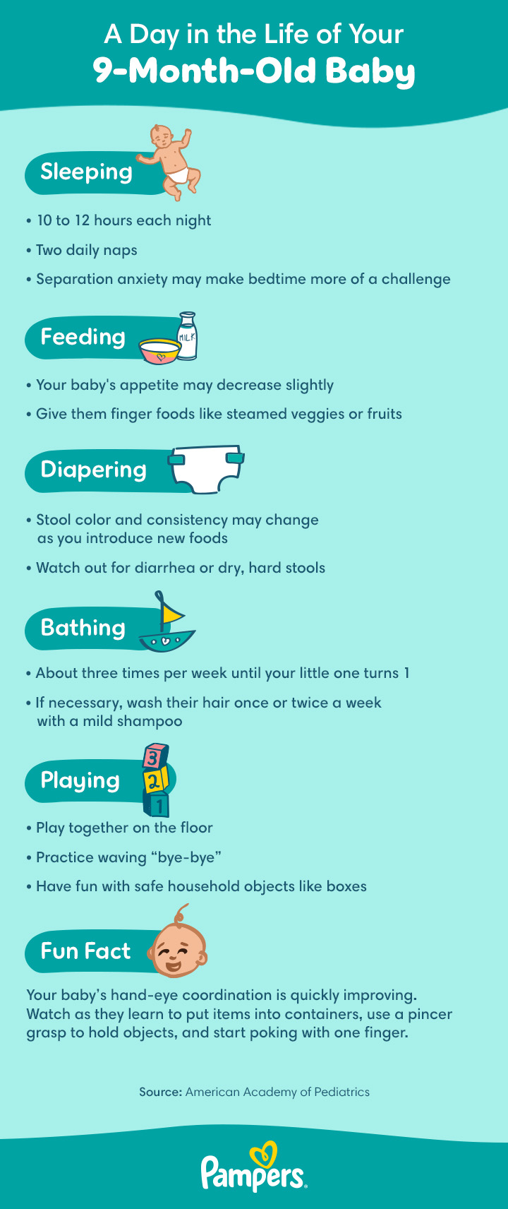 Clearance year months baby development Factory Sale