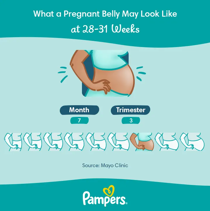 30 weeks pregnant belly