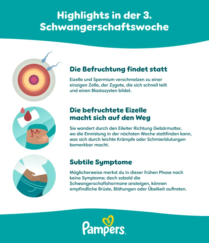 Highlights der 3. SSW Highlights der 3. SSW