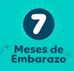 7 meses de embarazo