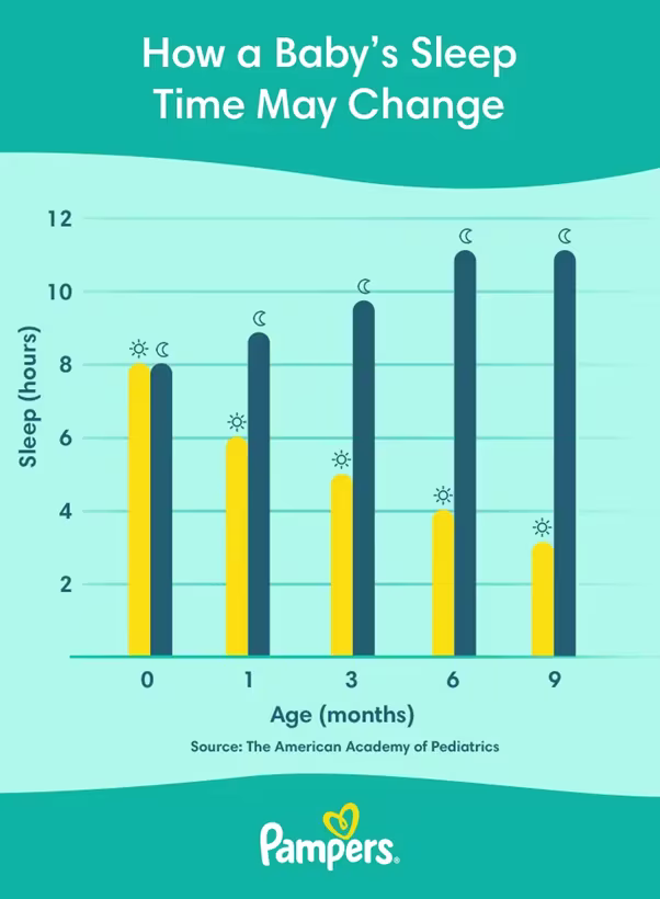 How Long Do Newborns Sleep at Night