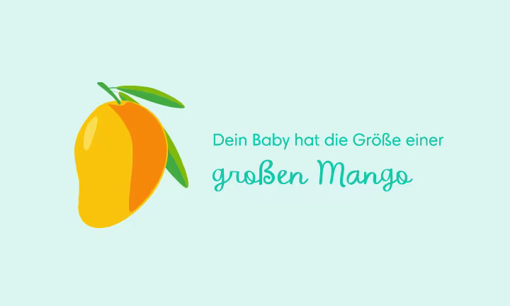 Illustration einer Mango als Größenvergleich – Dein Baby hat die Größe einer großen Mango
