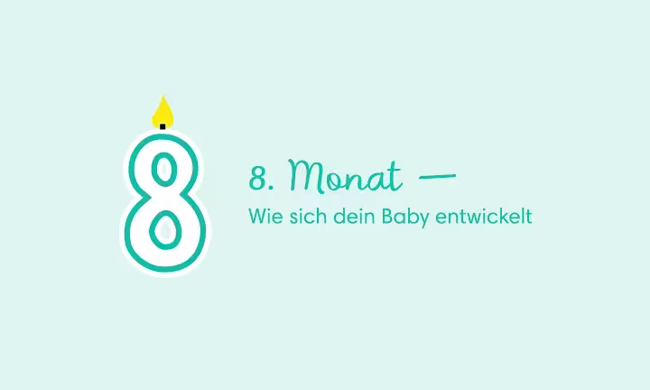8. Monat