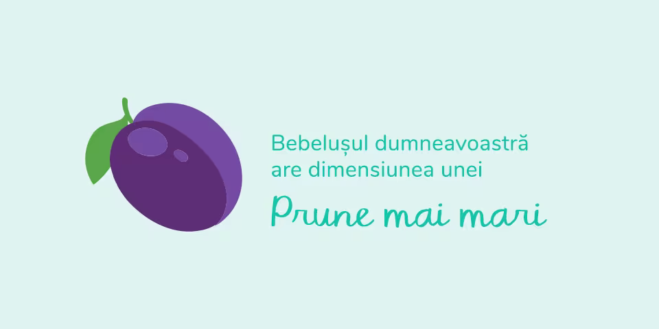 pregnancy-week-by-week-week-13