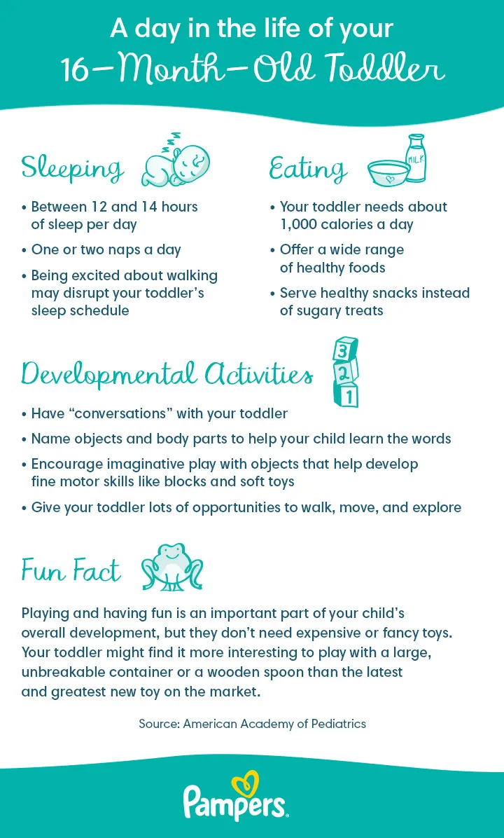 16 Month Old routine 16-month-old Toddler daily routine