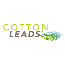 Cotton leads