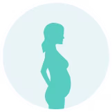 Second Trimester of Pregnancy