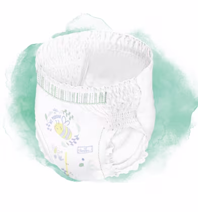 Pampers Harmonie nappy pant graphic