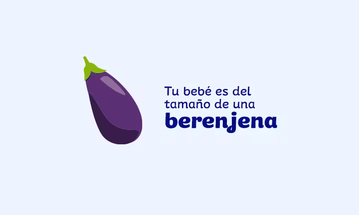 Semana 23 de embarazo