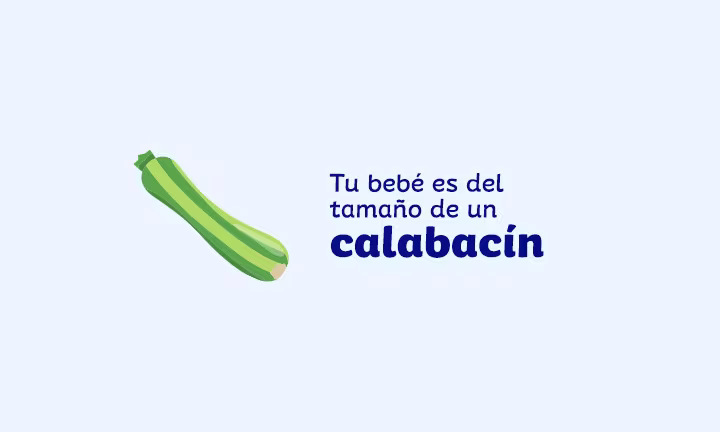 Semana 26 de embarazo