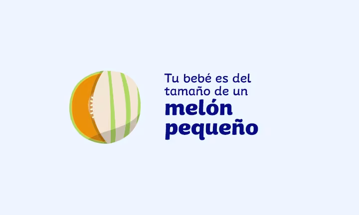 Semana 34 de embarazo
