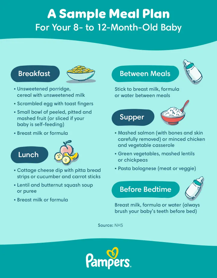 UK Pampers 8-12 month old Sample menu Desktop