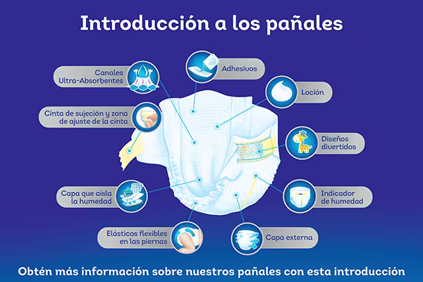 Introducción a los pañales