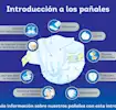Introducción a los pañales