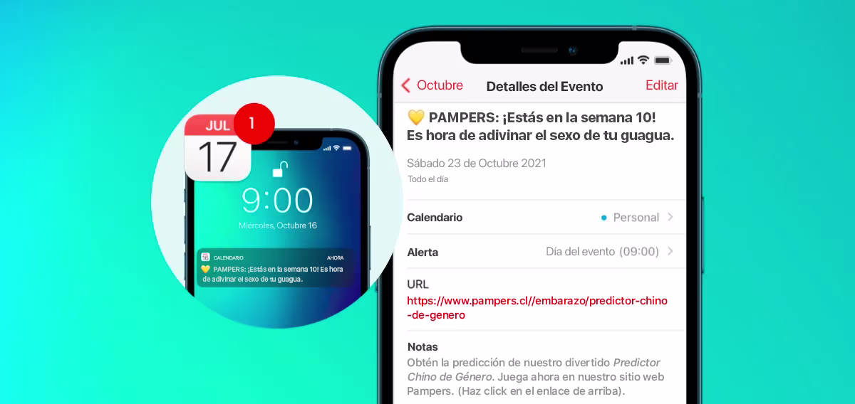 Seguimiento Semana a Semana del Embarazo, servicio de notificaciones de Pampers