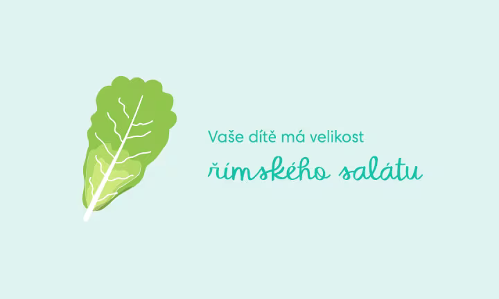 pregnancy-week-by-week-week-36