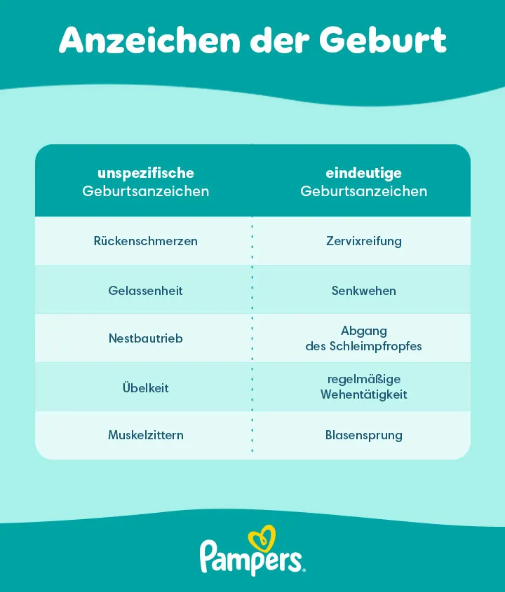 Anzeichen der Geburt Anzeichen der Geburt